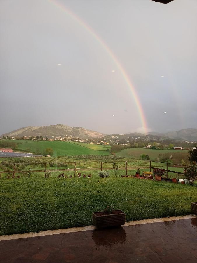 Il Faggio 17 B&B Artena Zewnętrze zdjęcie