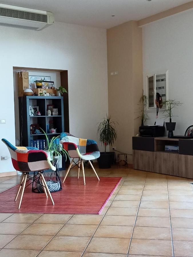 Il Faggio 17 B&B Artena Zewnętrze zdjęcie