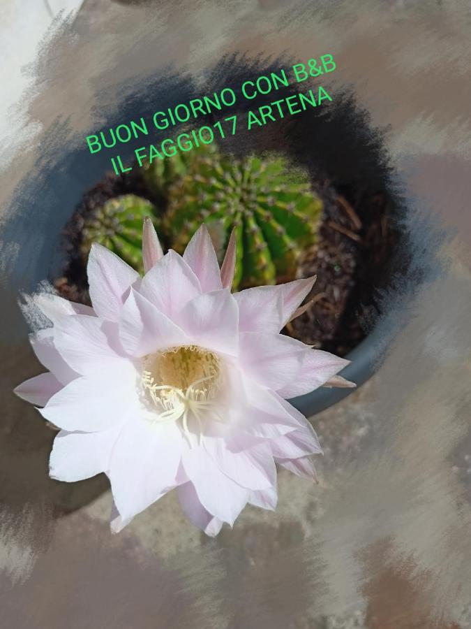Il Faggio 17 B&B Artena Zewnętrze zdjęcie