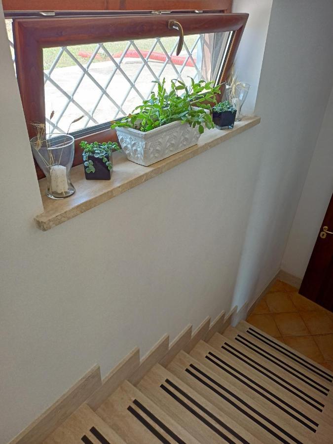 Il Faggio 17 B&B Artena Zewnętrze zdjęcie
