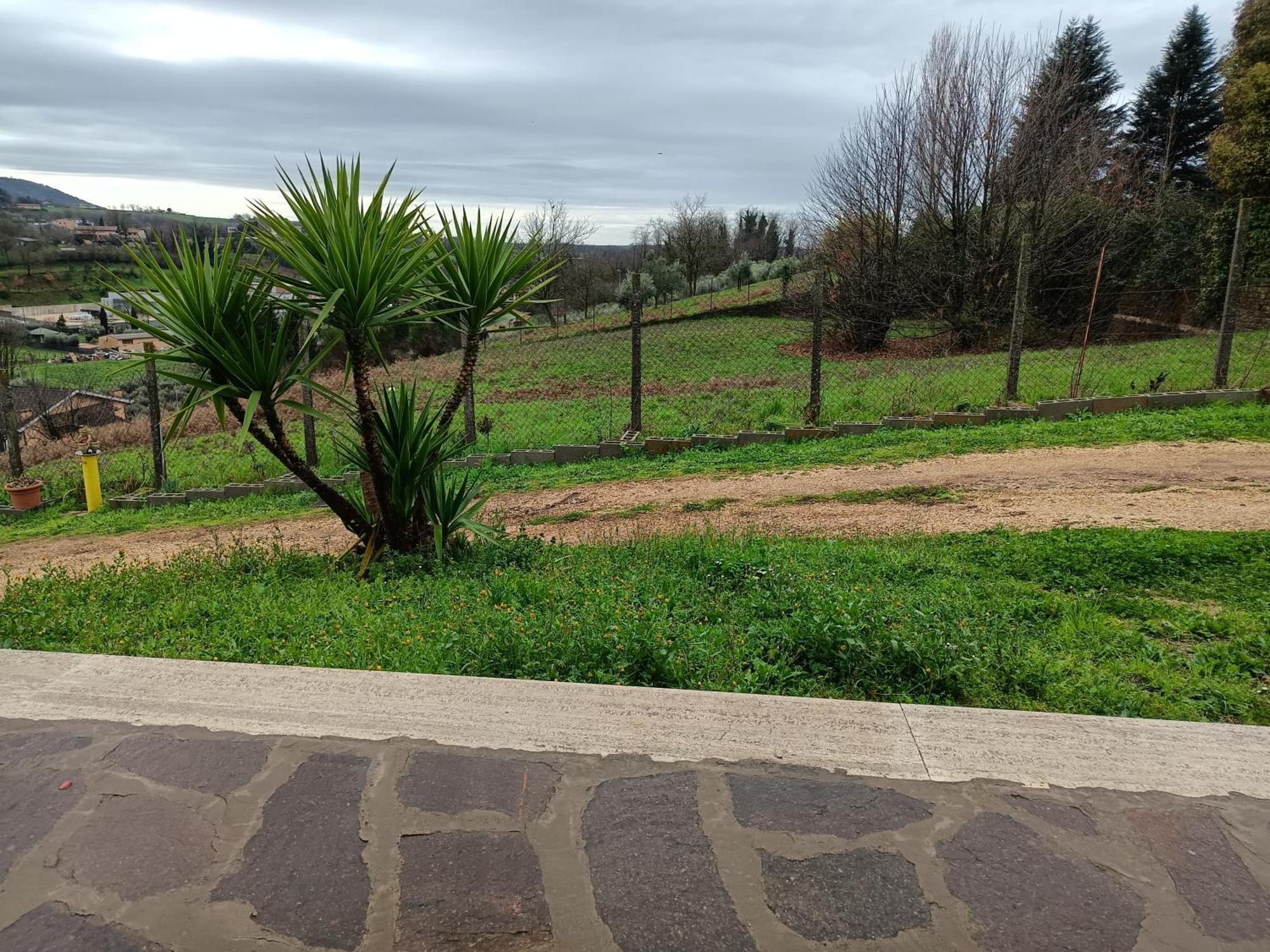 Il Faggio 17 B&B Artena Zewnętrze zdjęcie