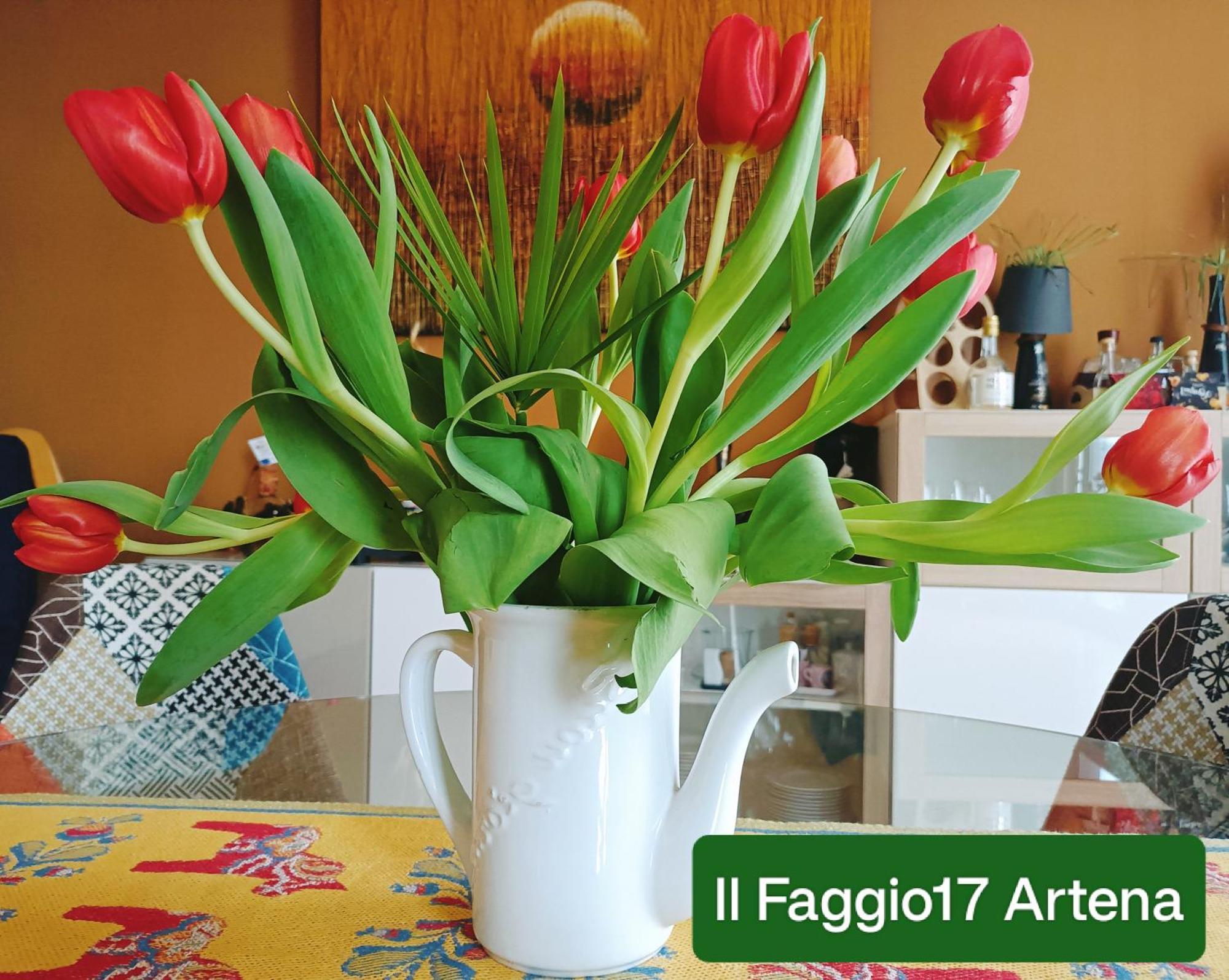 Il Faggio 17 B&B Artena Zewnętrze zdjęcie
