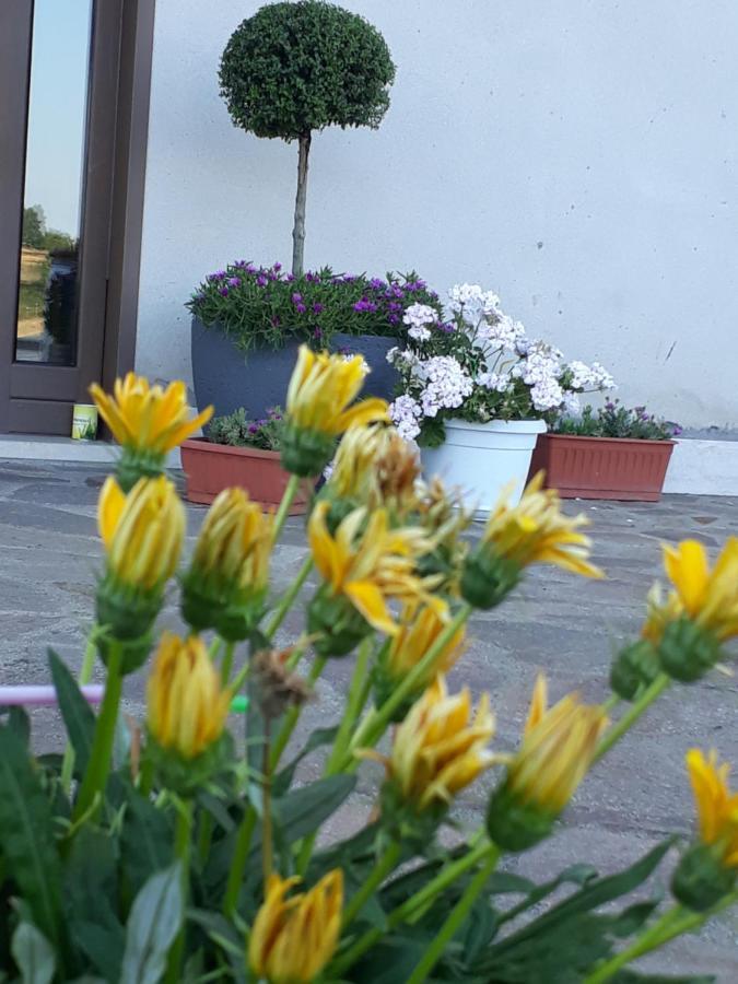 Il Faggio 17 B&B Artena Zewnętrze zdjęcie