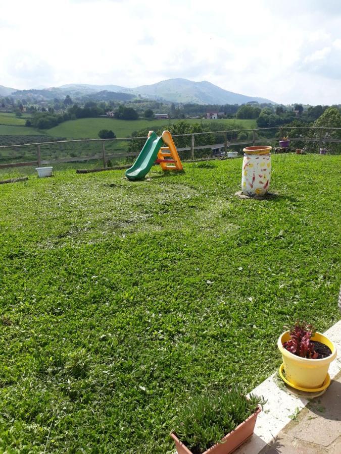 Il Faggio 17 B&B Artena Zewnętrze zdjęcie